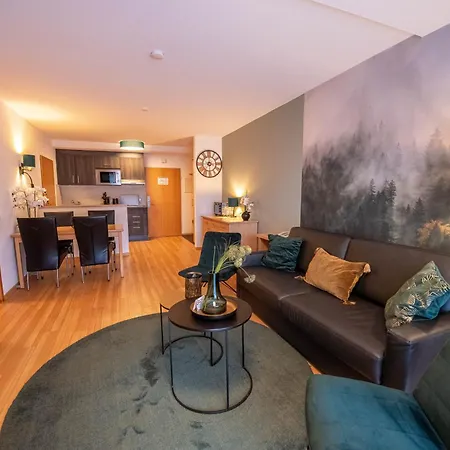 Hotel Vakantiehotel Der Brabander Winterberg